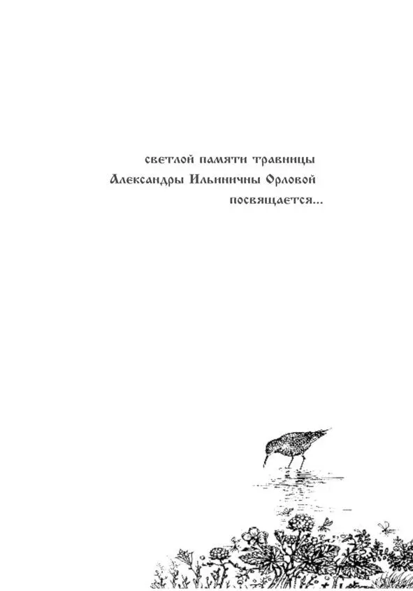 От автора Многие годы мне довелось путешествовать по России Дороги меня - фото 2