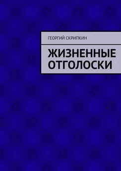 Георгий Скрипкин - Жизненные отголоски