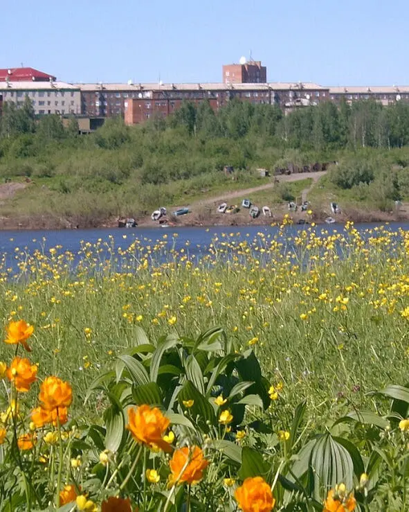 Сердцем Русь тебя я принимаю Русская сторонушка моя Русская сторонушка - фото 1