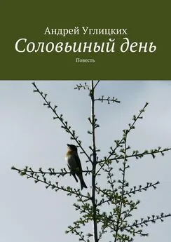 Андрей Углицких - Соловьиный день. Повесть