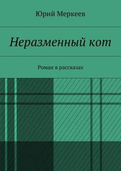 Юрий Меркеев - Неразменный кот. Роман в рассказах