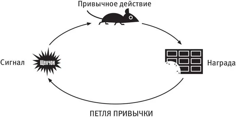 Со временем эта петля сигнал привычное действие награда становится все - фото 5