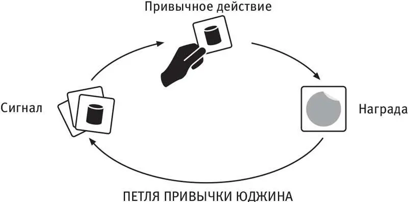 Чтобы убедиться что данная модель поведения действительно привычка Сквайр - фото 6