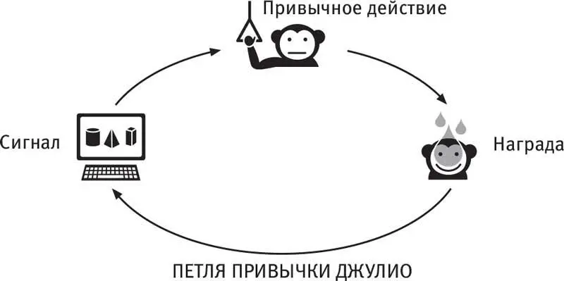 В первую очередь Шульца интересовали изменения которые происходили в процессе - фото 9