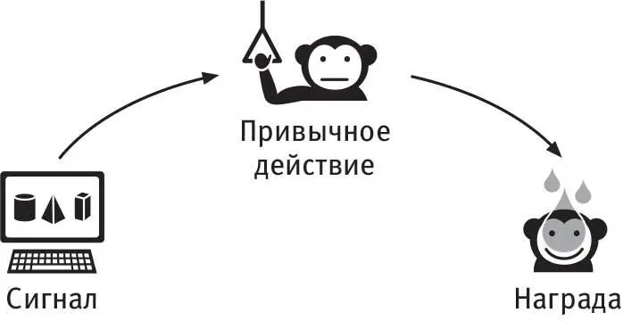 Так выглядит базовый процесс научения Привычка возникнет тогда когда при виде - фото 13