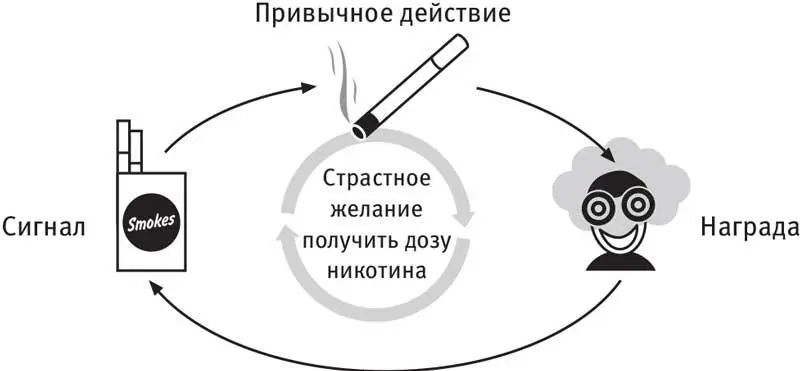Чтобы мозг захотел получить дозу никотина достаточно одного только вида - фото 15