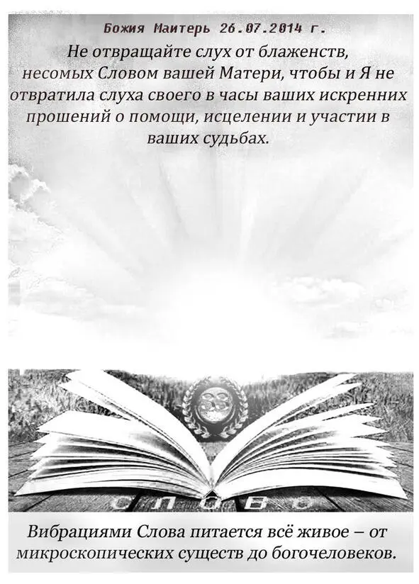 О книге Я восскорбел увидев что величайшая жемчужина зарыта в землю - фото 2