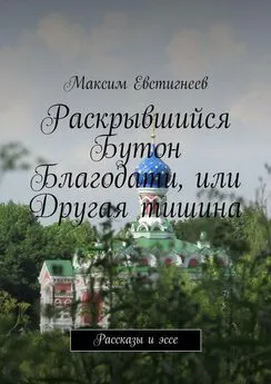 Максим Евстигнеев - Раскрывшийся Бутон Благодати, или Другая тишина. Рассказы и эссе