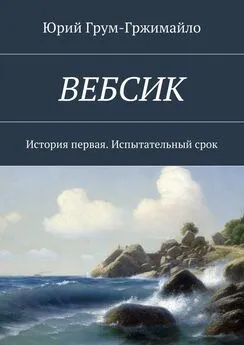 Юрий Грум-Гржимайло - Вебсик. История первая. Испытательный срок