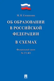 Мария Скопинова - Федеральный закон «Об образовании в Российской Федерации» в схемах. Учебное пособие