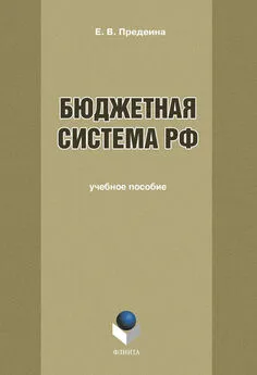 Екатерина Предеина - Бюджетная система РФ