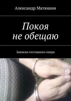 Александр Матюшин - Покоя не обещаю. Записки отставного опера