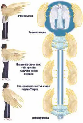 Рис 18 Формирование и наполнение канала энергиями Творца Скорость движения - фото 22