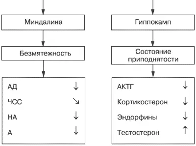 Рис 54Вегетативные и гуморальные паттерны состояний безмятежности и - фото 24