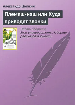 Александр Цыпкин - Племяш-наш или Куда приводят звонки