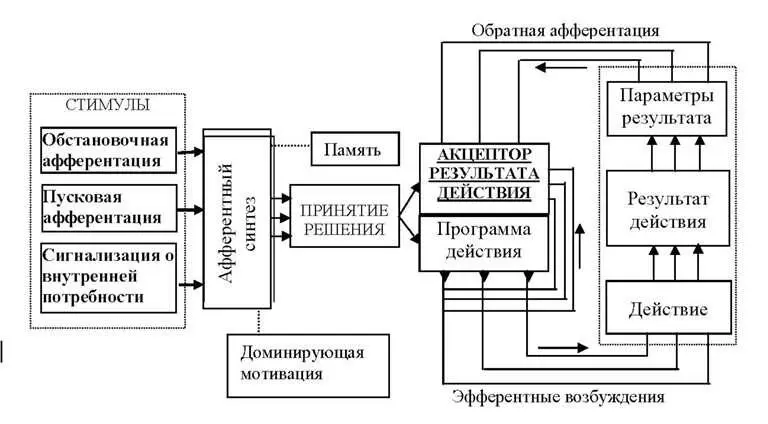 Рис 031 Системообразующим фактором функциональной системы является цель - фото 2