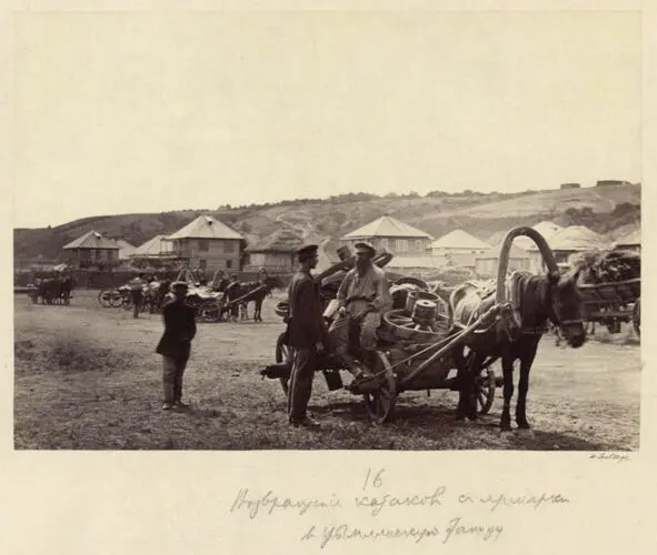Возвращение с ярмарки В 1873 году на Митякинскую ярмарку было привезено - фото 9