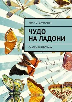 Нина Стефанович - Чудо на ладони. Сказки о бабочках