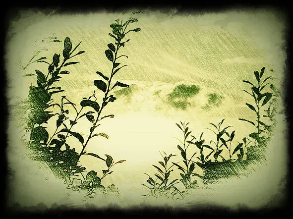 До небес я полечу в поля чудес Ты знаешь мне так плохо здесь Ты - фото 8