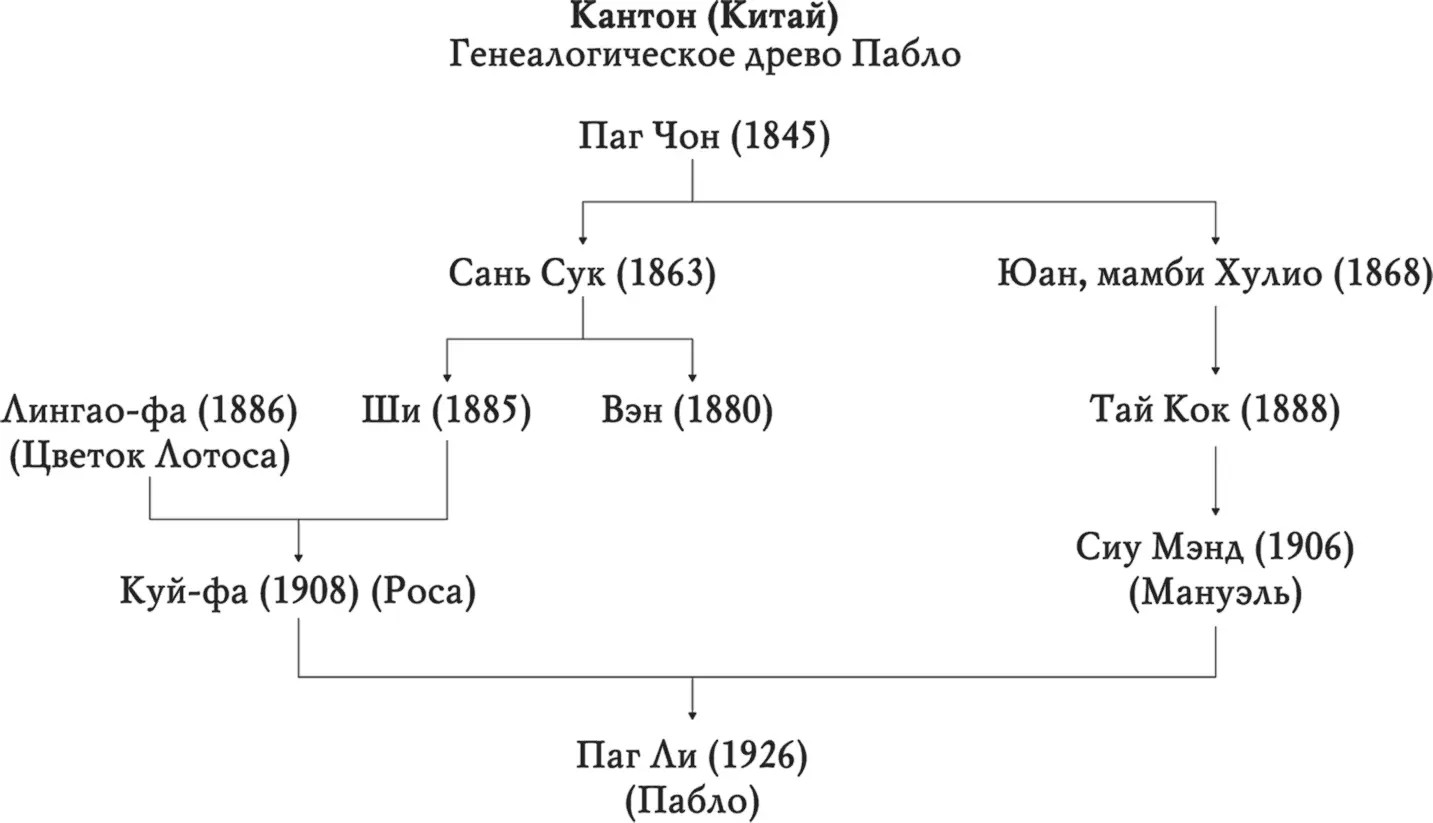 Часть первая Три источника Из записок Мигеля МОЙ КИТАЙЧОНОК МОЯ - фото 1