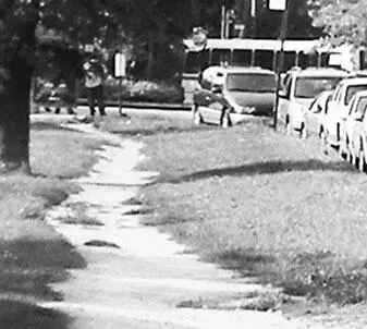 Бродвей существовал задолго до появления НьюЙорка Breede weg 143 Широкий - фото 16