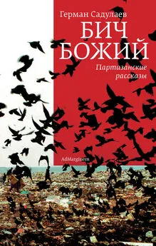 Герман Садулаев - Бич Божий. Партизанские рассказы (сборник)