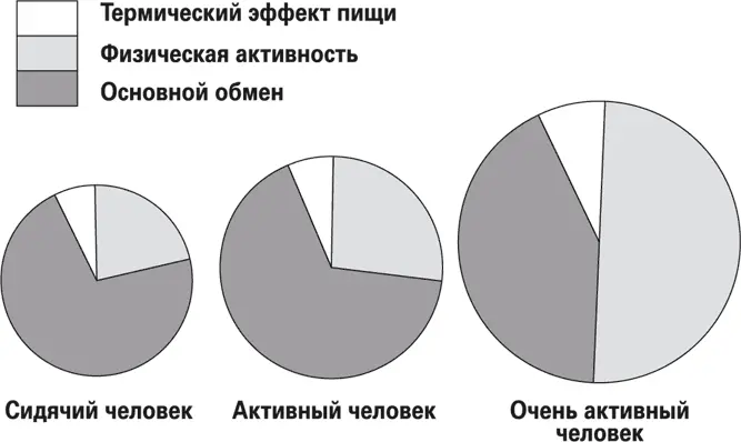 Рис 22 Энергетические нужды организма Третий компонент нашего - фото 10