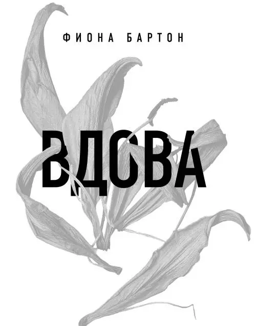 Фиона Бартон Вдова Посвящается Гарри Тому и Люси без которых все на свете - фото 1