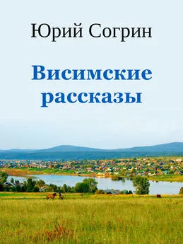 Юрий Согрин - Висимские рассказы