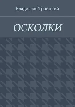 Владислав Троицкий - Осколки