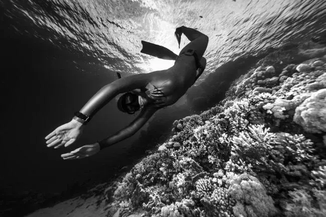 Фридайвинг подводное плавание на задержке дыхания апноэ Морские - фото 10