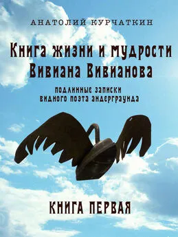 Анатолий Курчаткин - Книга жизни и мудрости Вивиана Вивианова. Подлинные записки видного поэта андерграунда. Книга первая