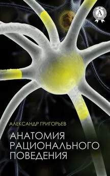 Александр Григорьев - Анатомия рационального поведения