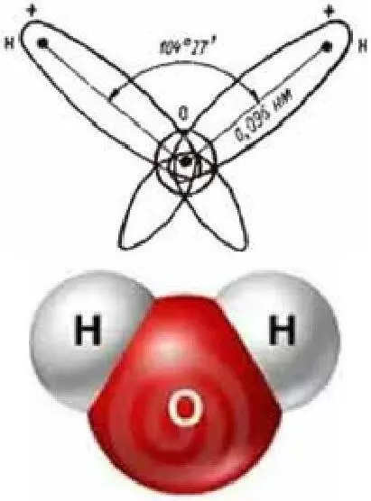 Как выглядит атом кислорода. Схема электронного строения атома кислорода. Ядро атома кислорода содержит 8 протонов. Строение атома кислорода и водорода. Один атом кислорода.