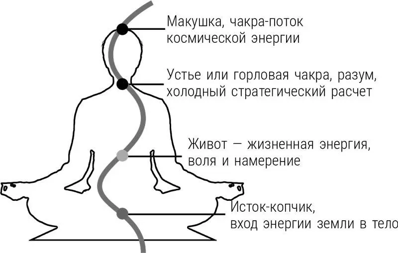 Линия красного цвета это линия силовая проходящая через чакры Янской энергии - фото 4