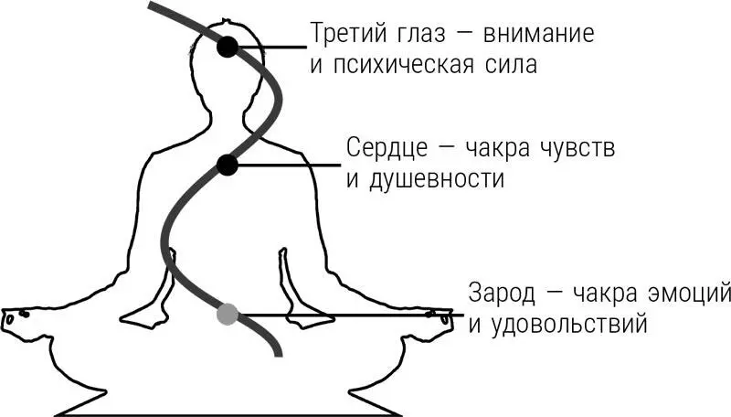 Линия синего цвета это линия как раз с чувственноэмоциональным подтекстом - фото 5