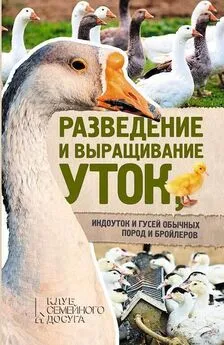 Юрий Пернатьев - Разведение и выращивание уток, индоуток и гусей обычных пород и бройлеров