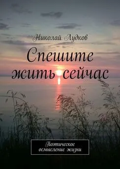 Николай Лудков - Спешите жить сейчас. Поэтическое осмысление жизни