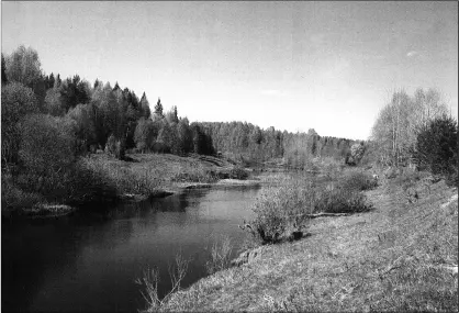 Река Устья в верхнем течении Устья на всем ее протяжении заселялась - фото 3