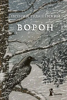 Евгений Рудашевский - Ворон