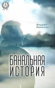 Андрей Никитин - Банальная история