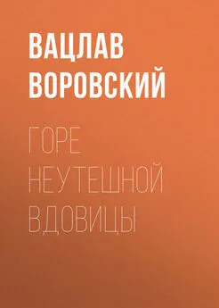 Вацлав Воровский - Горе неутешной вдовицы