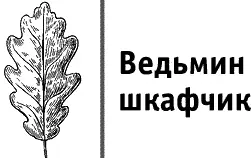 В книге много практик для которых вам понадобятся коекакие материалы Достать - фото 4