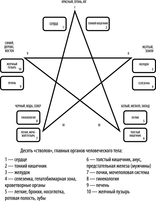 Рис 1 Схема расклада Десять небесных стволов Методика и техника расклада - фото 1
