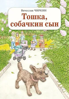 Вячеслав Чиркин - Тошка, собачкин сын