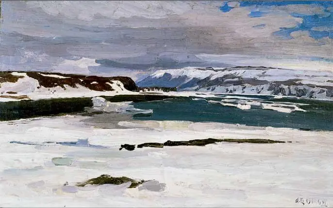 Залив Чекина на берегу Карского моря Новая Земля 1901 Холст на картоне - фото 3
