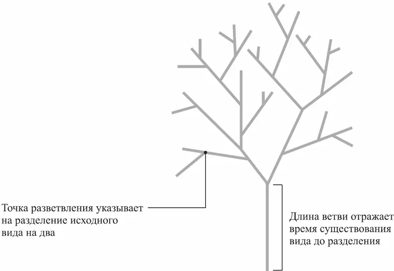 А потом несколько лет назад Пейджел осознал что подходящие эволюционные - фото 1