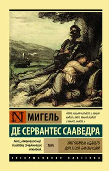 Мигель де Сервантес Сааведра - Хитроумный идальго Дон Кихот Ламанчский. Т. I