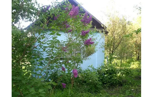 То судьбы узорчивая вязь Провожала ты меня в солдаты Песня твоя грустная - фото 4