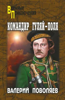 Валерий Поволяев - Командир Гуляй-Поля
